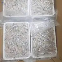Anchovies