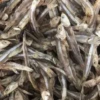 Dried Anchovy Fish