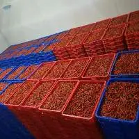 Fresh Chilli