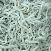 Frozen Chirimen Fish