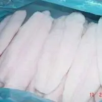 Pangasius Fillet
