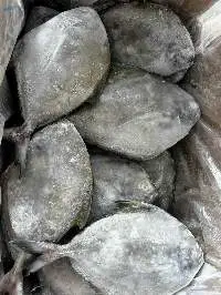 Black Bird Fish Frozen