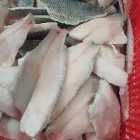 Tilapia Fillet