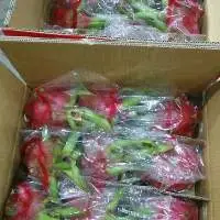 Dragon Fruit