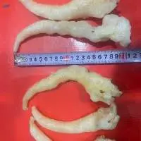 FRIED FISH MAW - SMALL TUBE
