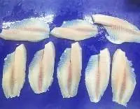 Tilapia Fillet