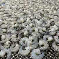 Frozen Shrimp