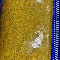 Passion Fruit Concentrate