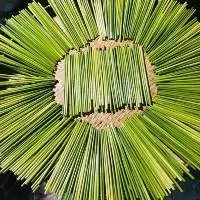 Grass Straws