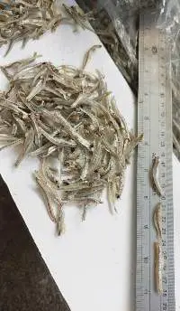 Dried Anchovy Fish
