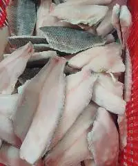 Perch Fillet