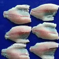 Frozen Tilapia Fillet