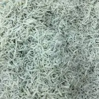 Frozen Chirimen Fish