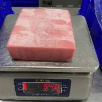 Frozen Tuna Fish