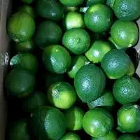 Fresh Seedless Lemon