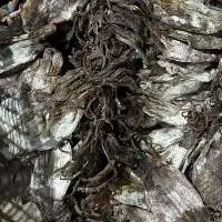 Dried Black Squid