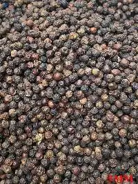Black Pepper
