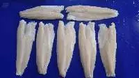 Frozen Snakehead Fish
