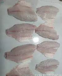 Frozen Tilapia Fillet