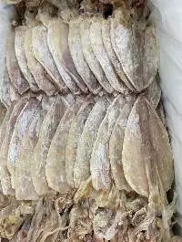 Dried Squid