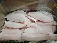 Snakehead Fillet