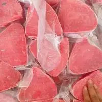 Frozen Tuna Meat