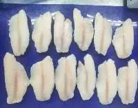 Tilapia Fillet