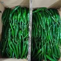Fresh Chili