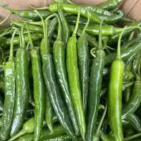 Fresh Chili