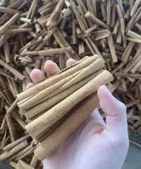 Cinnamon