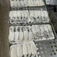 Frozen squid