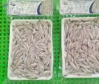 Frozen Keski Fish