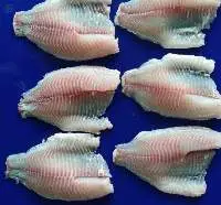 Frozen Tilapia Fillet