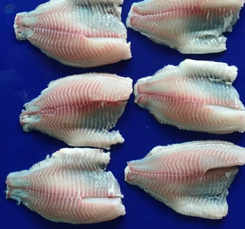 Frozen Tilapia Fillet