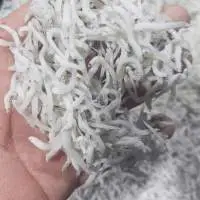 Dried Chirimen Fish