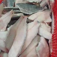TILAPIA FILLET