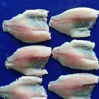 Frozen Tilapia Fillet