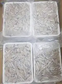 Frozen Keski Fish