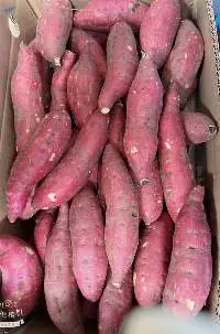 Fresh Sweet Potato