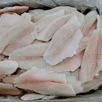 Frozen Tilapia Fillet