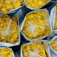 Dried Jackfruit
