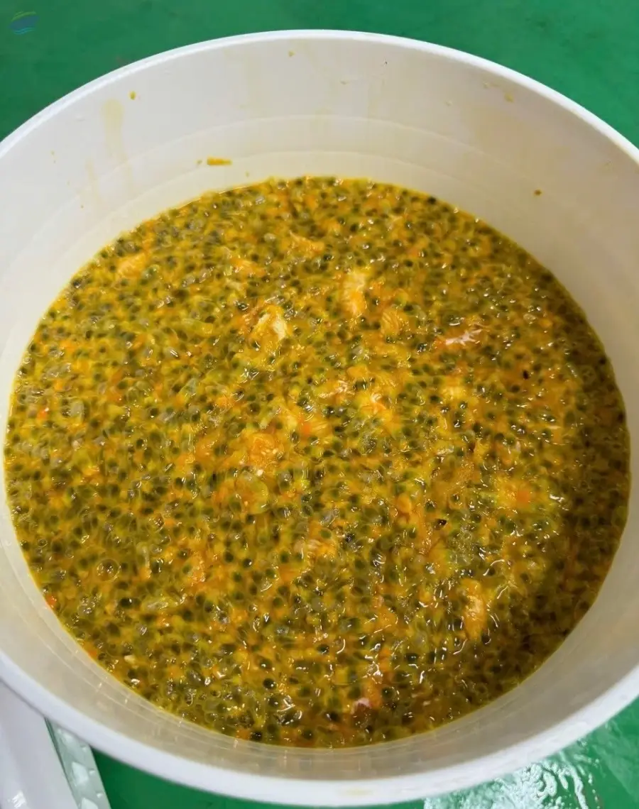Frozen Passion Fruit Juice