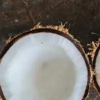 Dried Coconut