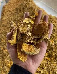 Dried Turmeric