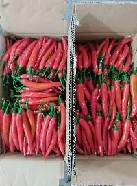 Fresh Chili Peppers