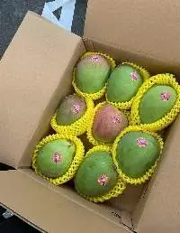 Fresh Mango