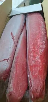 FROZEN TUNA MEAT