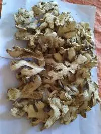 Dried Ginger