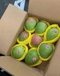 Fresh Mango