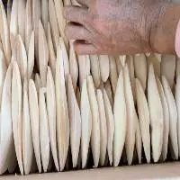 Dried Cuttle Fish Bone